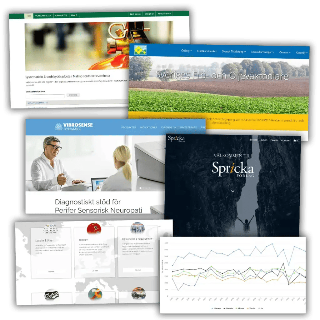 Exempel på kunder och projekt